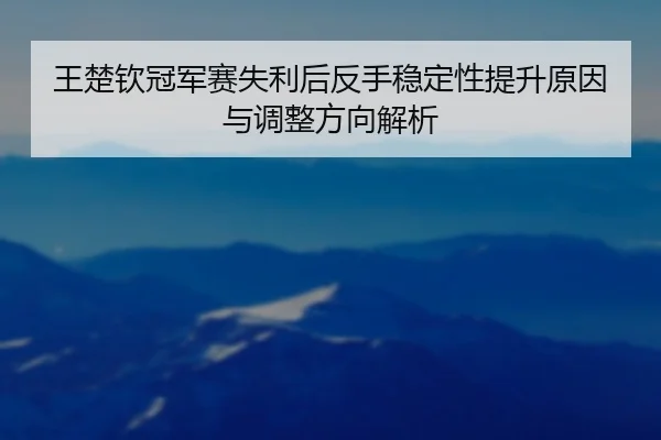 王楚钦冠军赛失利后反手稳定性提升原因与调整方向解析 - Leyu